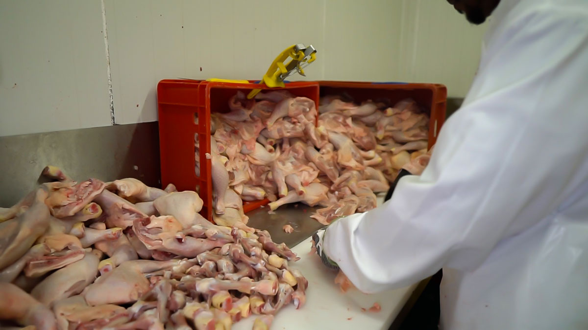 C0015.MP4_snapshot_01.44