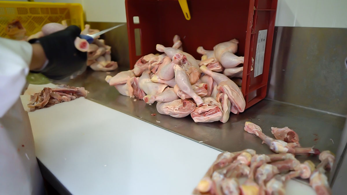 C0015.MP4_snapshot_01.50